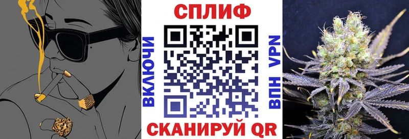 продажа наркотиков Юрьев-Польский Конопля индика